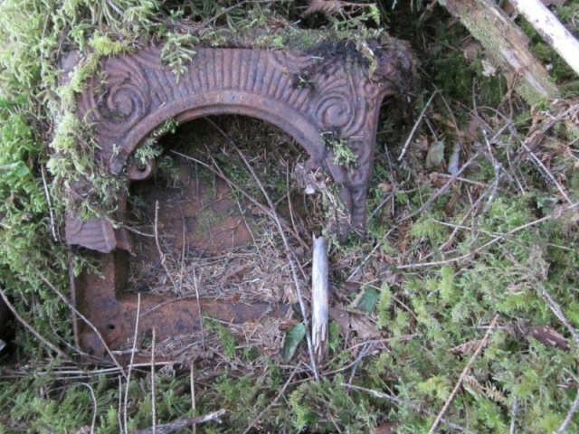 Remains of a cast iron stove.