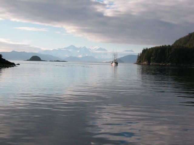 View from the dock at Elfin Cove, Alaska