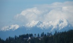 Olympic Mountains 1/20/10