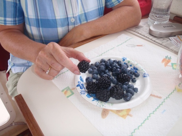 blueberries and blackberries from the farmers market at Little Current Ontario