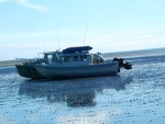 beached at low tide