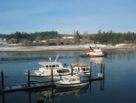 Towing logs in Swinomish Channel