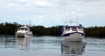 CD25 and TC255 at anchor