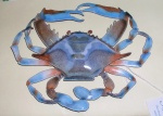 (Bluecrab) Enamelled glass crab - unfortunately inedible.