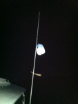 my improvised anchor light brought frogs from all over the lake !