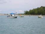 Lime Island Herring fishing fleet. Lots of boats, a few fish, but more than enough for a great on the boat fish fry.