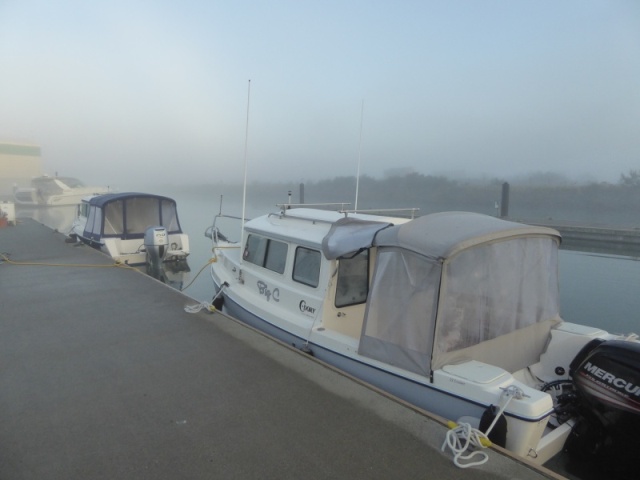 After a Friday night aboard hoping to get an early start Saturday, but instead woke up to morning fog. Looks like Catman is heading out too!