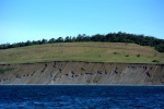 Southern shores of San Juan Island near Cattle Point