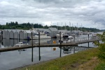 Percival Landing public dock