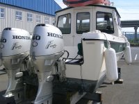 CDory02.jpg