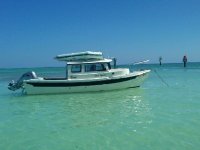 in the keys.jpg