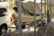 Boat 025_opt.jpg