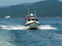 Kingfisher_headed_for_Cornet_Bay.jpg