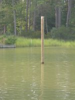 16_August_2007_017.sized.jpg