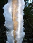 ice_flower.thumb.jpg