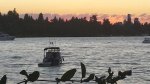 20150630_211221.thumb.jpg