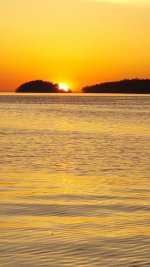 20170528_205914.sized.jpg