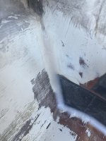 IMG_1699.jpeg