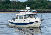 Screen Shot 2024-07-16 at 12.37.37 PM.png