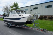 c-dory-2018-25-tomcat-white-cs2070-01.JPG
