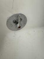 IMG_4221.jpeg