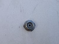 IMG_3375.jpeg