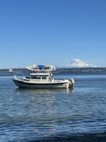 IMG_2536.jpeg