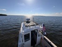IMG_6228.jpeg