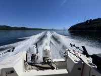 IMG_3751.jpeg