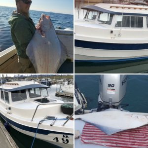 1988 CD22 Cruiser Fresh bottom paint May 2016