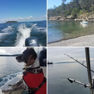Using an anchor buddy off Posey island