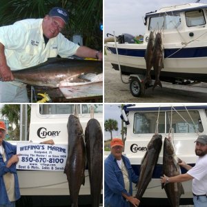 C-dory will raise fish