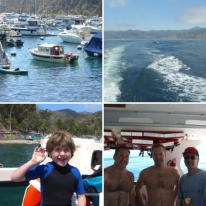 Giant Sea Bass at Catalina