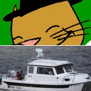 Fish N Cat
