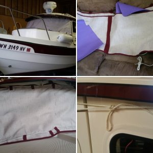 C-Dory Logo, Our Colors, close. And our size.