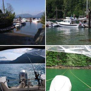 Toba Wildernest
July 2010