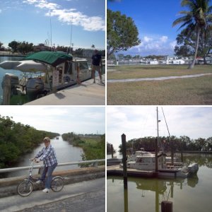 Wild Blue in Miami