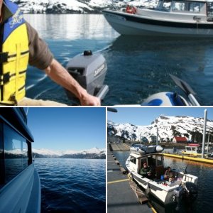 Whittier Harbor - Sunny, as always