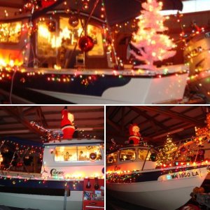 C-Lou\'s sleigh