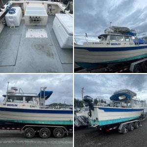 previous boat, 1988 22ft smokercraft with a 3.0 omc cobra.  We got Hammerhead because this boat was a maintenance nightmare and I was tired of working on it...  It was a cool boat once it was running good