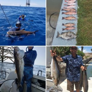 Texas fishing and spearfishing