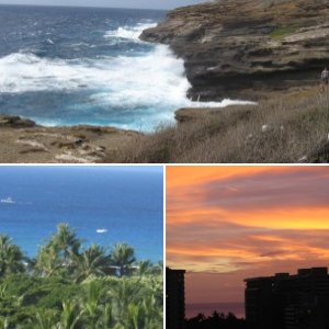 breezy day  hi surf trades are here