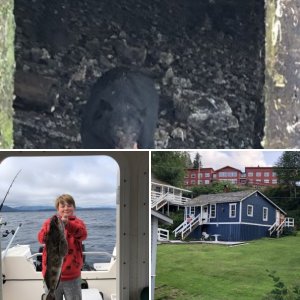 Cabin 8