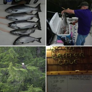 A boxful of "Springs".  First day 4 fish before check-in at Critter Cove!