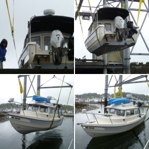 new owner