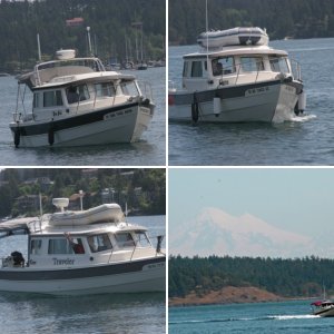 Friday Harbor