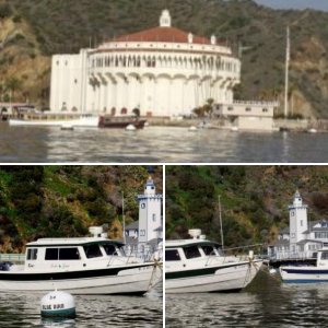 dorysatavalon