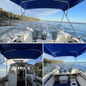 Bimini