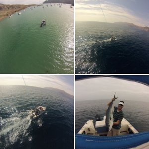 Catalina surf trip