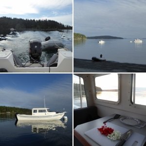 A busy marina on a Thursday afternoon departure.